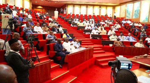Senate Condemns Killings By Terrorists In Benue