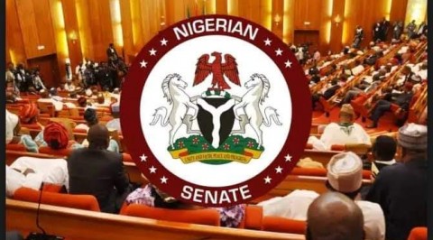 Senate summons CBN Governor on naira fall and economy.
