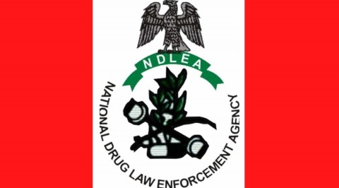 NDLEA Reiterates Commitment Towards A Drug Free Nigeria