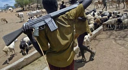 Delta community laments herdsmen attacks