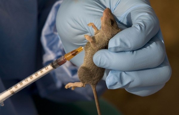 Group sensitizes residents against LASSA fever