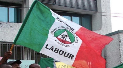Oyo NLC suspends strike