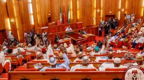 Senate Passes Bill on Customs and Excise Management
