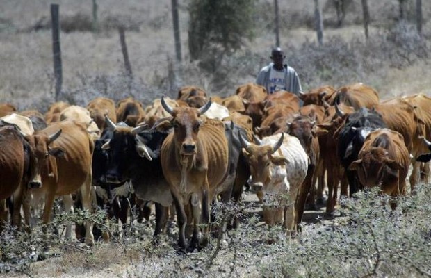 Herdsmen kill five in fresh attack in Benue