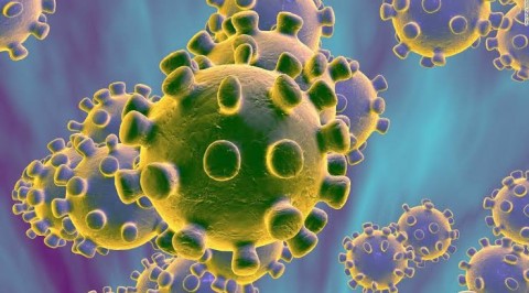Coronavirus Claims 97 Lives in One Day