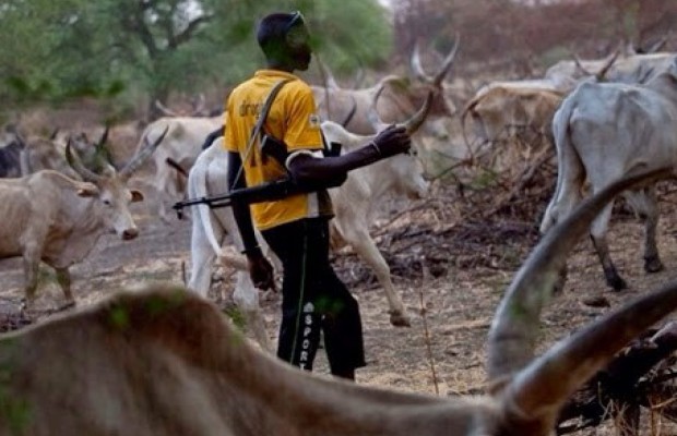 Delta Herdsmen Attack: Gunshot Victim Recounts Ordeal, as Lawmaker Visits Displaced Persons.