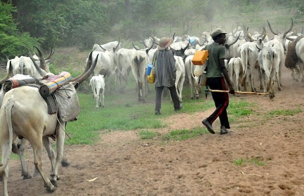 Herdsmen ravage Ekiti community, raise flag
