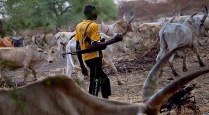Tackling herdsmen’s menace in Nigeria