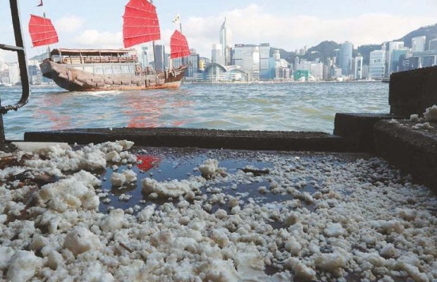 Honk Kong closes 13 beaches over palm oil spill