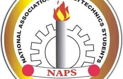 NAPS Charges FG on Incessant Killings and General Insecurity