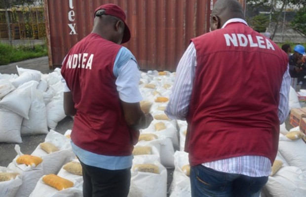 Adamawa Residents Lauds NDLEA in the Fight Against Drug Abuse.