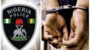 Cultism: Benue Police Raids Hide -Out Nab Three Suspects with Parcels Of Indian Hemp