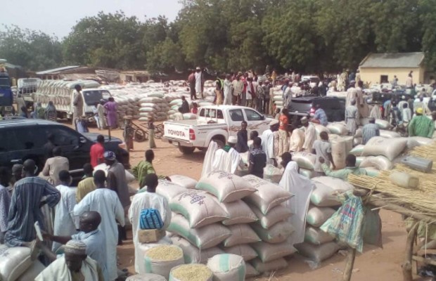 Agriculture Minister says Nigeria to Begin Rice Exportation