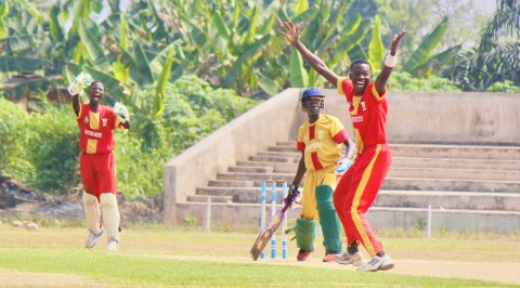 Edo Male Cricket League: Under-17 Kick Starts Tournament with Walkover Victory