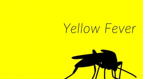 Yellow Fever(Rivers to Commence Yellow Fever Preventive Mass Vaccination Campaign)