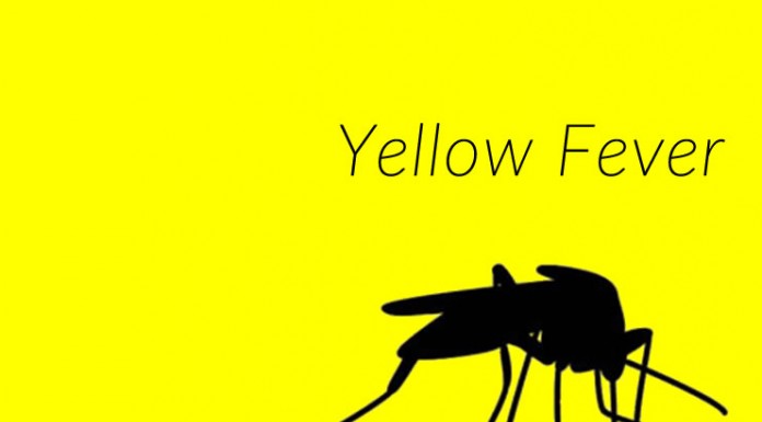 Yellow Fever(Rivers to Commence Yellow Fever Preventive Mass Vaccination Campaign)